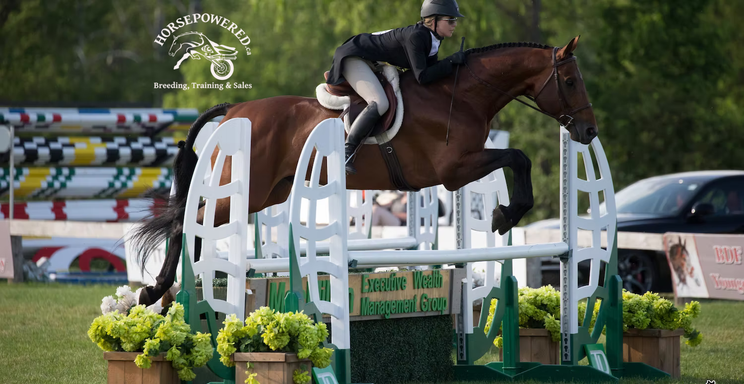 Full page background